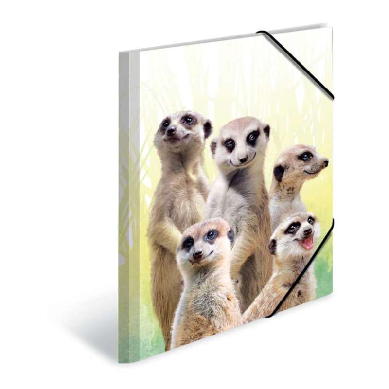 HERMA Sammelmappe A3 mit Motiven Erdmännchentruppe rechts