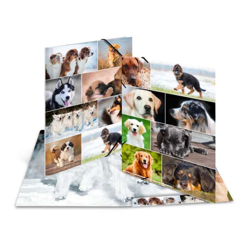 HERMA Sammelmappe A3 mit Motiven Hunde Sortiment