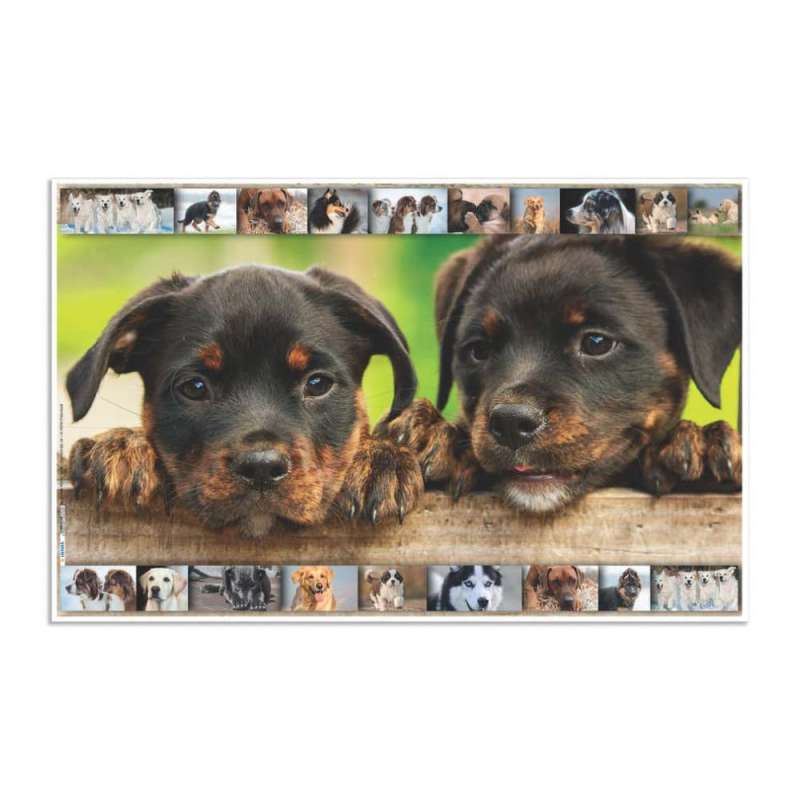 HERMA Schreibunterlage aus Karton mit Motiven Hunde aufgestellt