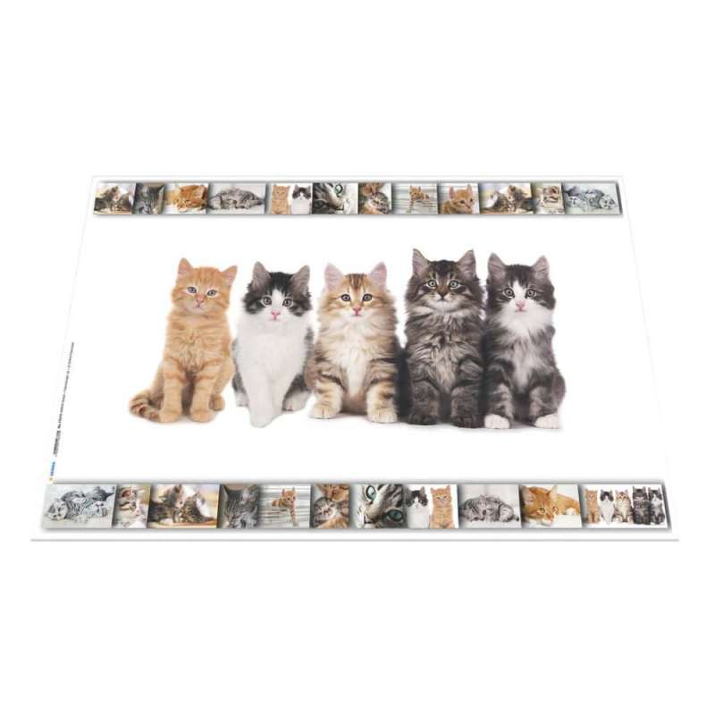 HERMA Schreibunterlage aus Karton mit Motiven Katzen