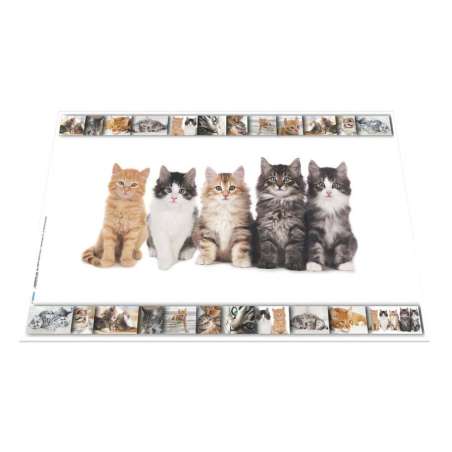 HERMA Schreibunterlage aus Karton mit Motiven Katzen