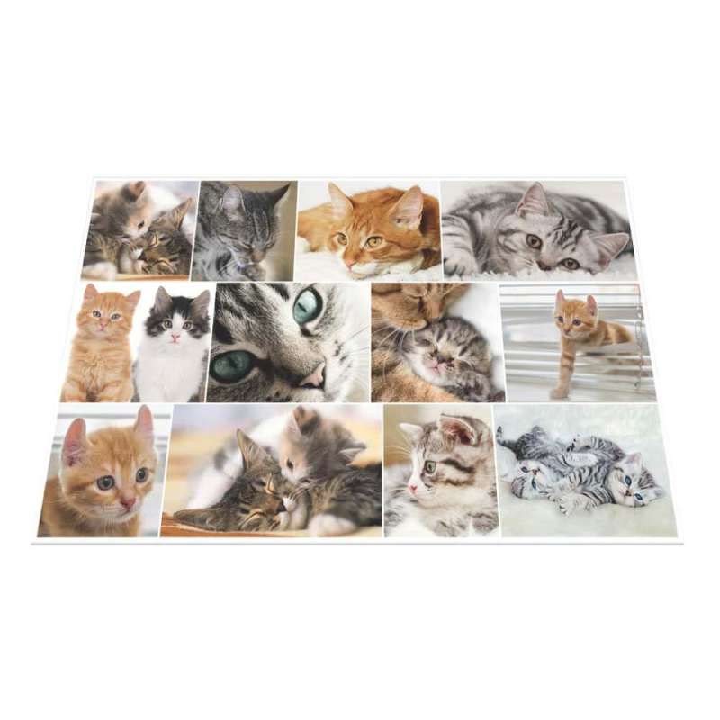 HERMA Schreibunterlage aus Karton mit Motiven Katzen Variante