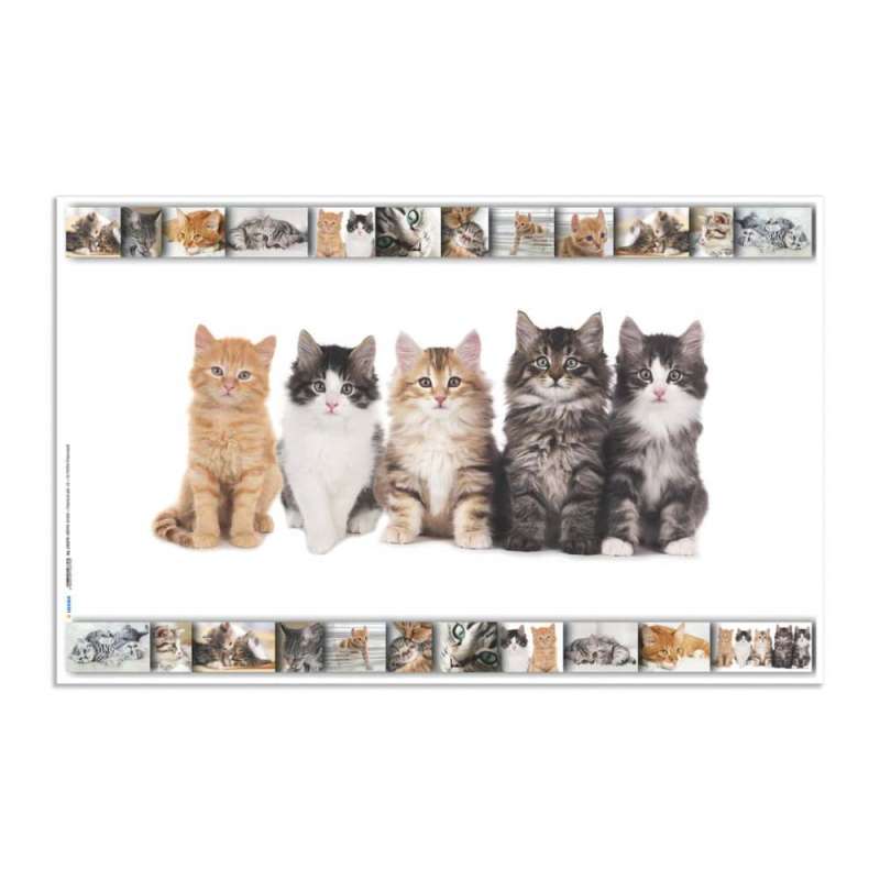 HERMA Schreibunterlage aus Karton mit Motiven Katzen aufgestellt