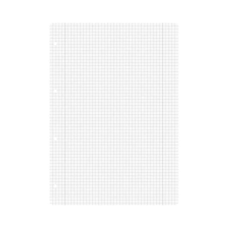 BRUNNEN Ringbucheinlagen in A4, A5, A6 und A7 / 20-, 50- und 100-Blatt - A4 | 5 mm kariert mit Randlinie, 100 Blatt - Blatt