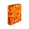 HERLITZ DIN A4 Ordner mit verschiedenen Motiven - 80mm Breite - Orangen