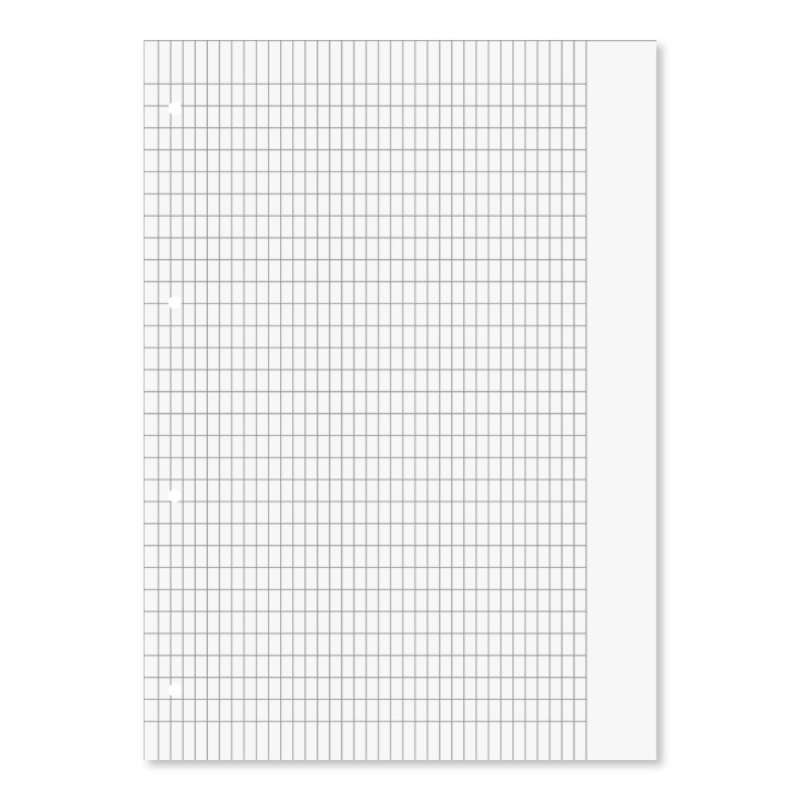BRUNNEN Schulblock Premium Rand gelocht 90g/qm A4 Lineatur 8f