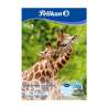PELIKAN Zeichenblock DIN A4 10 Blatt Motive Giraffe