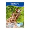 PELIKAN Zeichenblock DIN A3 10 Blatt Motiv Giraffe