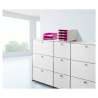 HAN Ablagekorb Briefablage pink Schrank